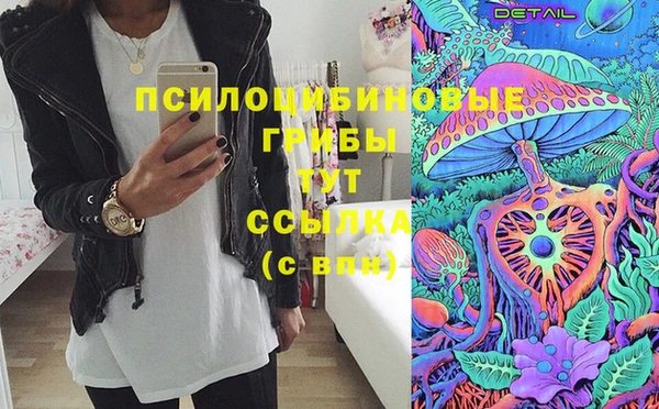 ПСИЛОЦИБИНОВЫЕ ГРИБЫ Алексеевка