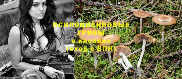 соль ск Алексин