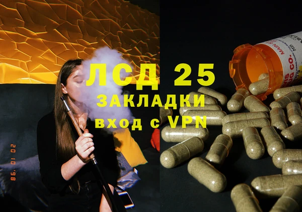 ПСИЛОЦИБИНОВЫЕ ГРИБЫ Алексеевка