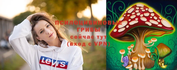 соль ск Алексин