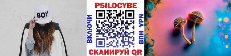 Псилоцибиновые грибы ЛСД  наркота  Николаевск 